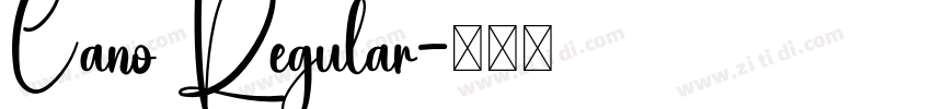 Cano Regular字体转换